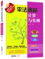 平法钢筋计算与实例