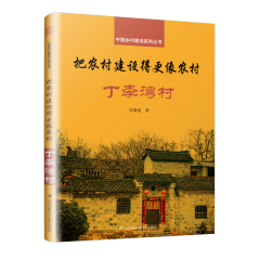 把农村建设得更像农村 丁李湾村
