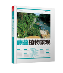 植物造景丛书——藤蔓植物景观