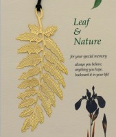 L-3田园之洋槐金叶