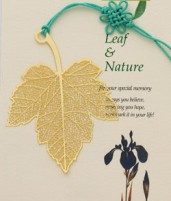 L-6田园之葡萄金叶