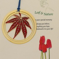 LC-12田园之枫叶正红