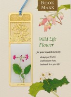 BM-WF8花草之二月兰