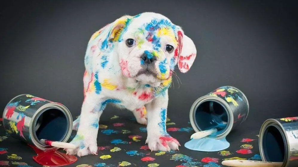 2018全球艺术设计专业高校排名50强，内地3所院校上榜