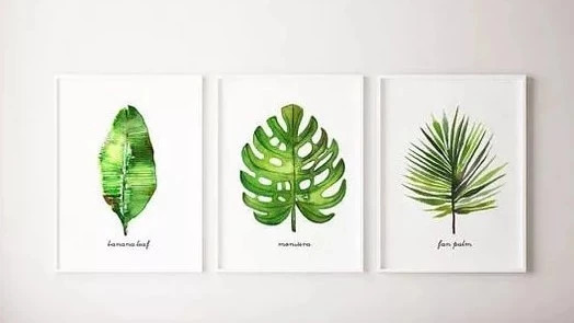 画里都是我爱的绿植！