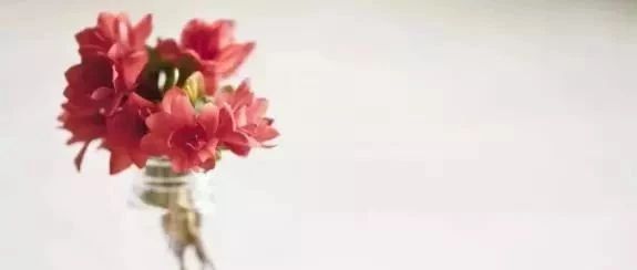 新的一年，摆上这些植物，旺家旺财又旺运