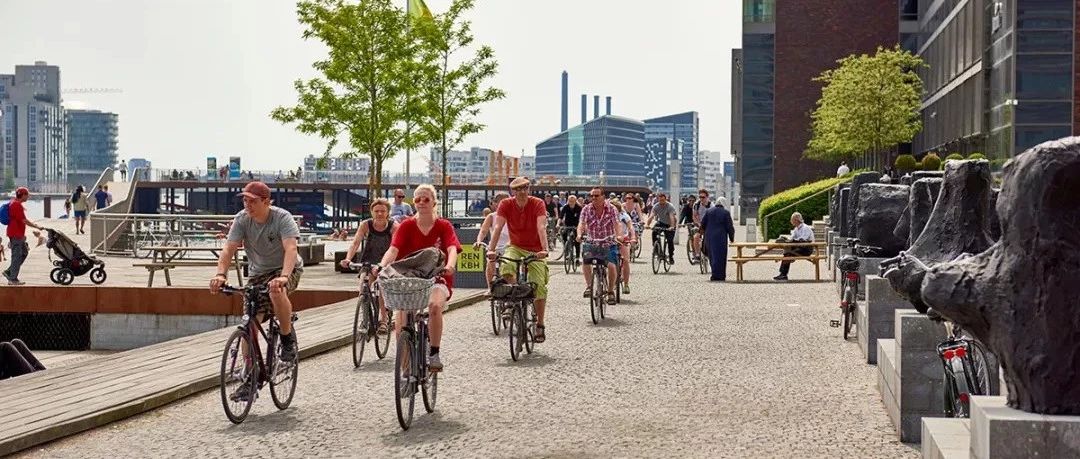 ofo凉了，但只有自行车和公共交通，才能救城市