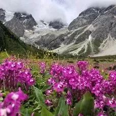 纪录片《改变世界的中国植物》杀青，带你感知人类文明长河中植物的力量