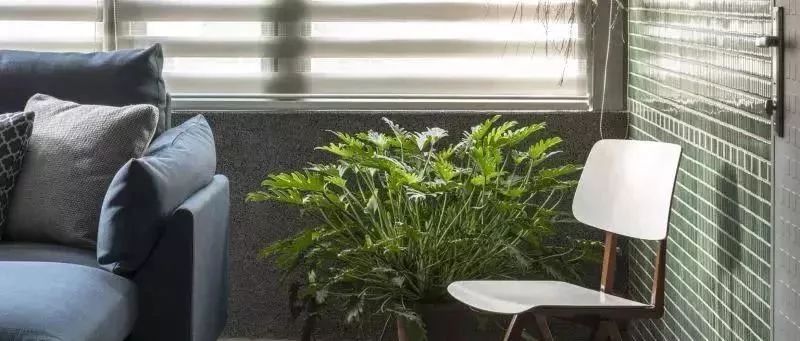 混搭风家居，一抹新绿迎春节~