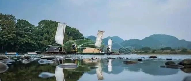 2018特色小镇死亡名单和启示录