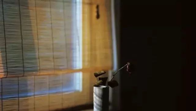 隔一席竹帘，得一份清雅~