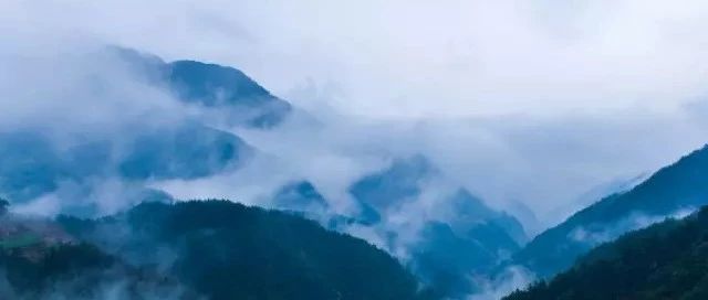 她游遍大江南北，成为令人羡慕的民宿体验师，把民宿的故事写成诗