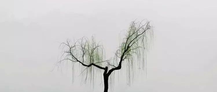 你是不是越来越喜欢简单？