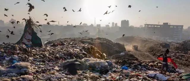 解决500年不腐不烂的塑料垃圾，这些可持续设计超乎你的想象