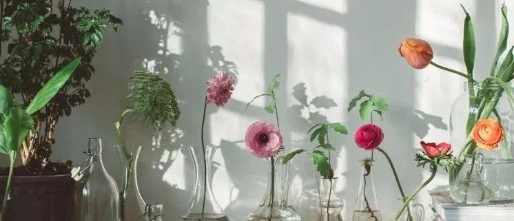 谁都能学会的家居摆设法，让你的家从“丑到哭”到“美到爆”