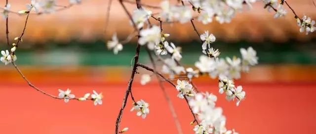 天青、月白、黛蓝、妃红……好听好看的中国色彩与色值，你值得get