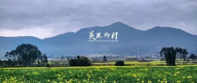 3亿人出走后的中国农村，将何去何从？