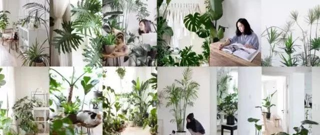 没钱也能过上好日子的终极策略