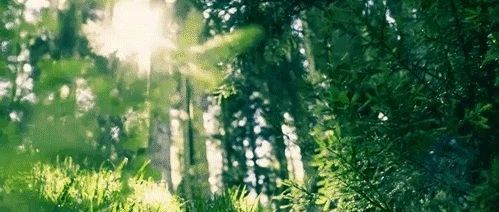 这样的空间能帮你赶走坏情绪！点开送好礼！