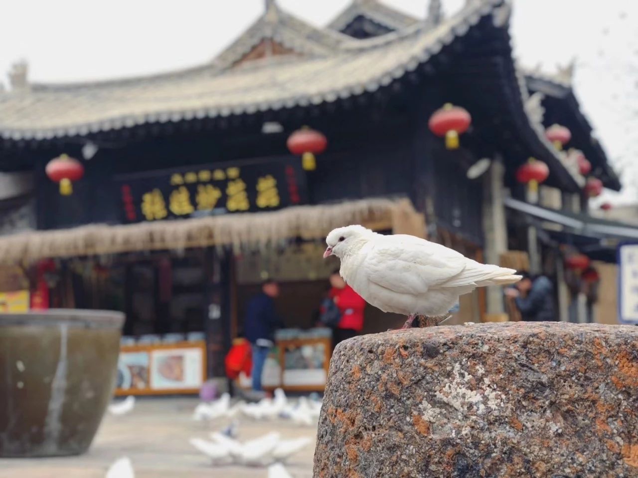 袁家村能火多久？