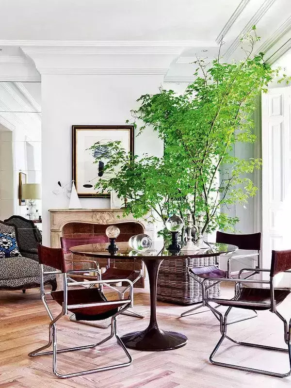 不懂花草又想养？室内植物生活新提案